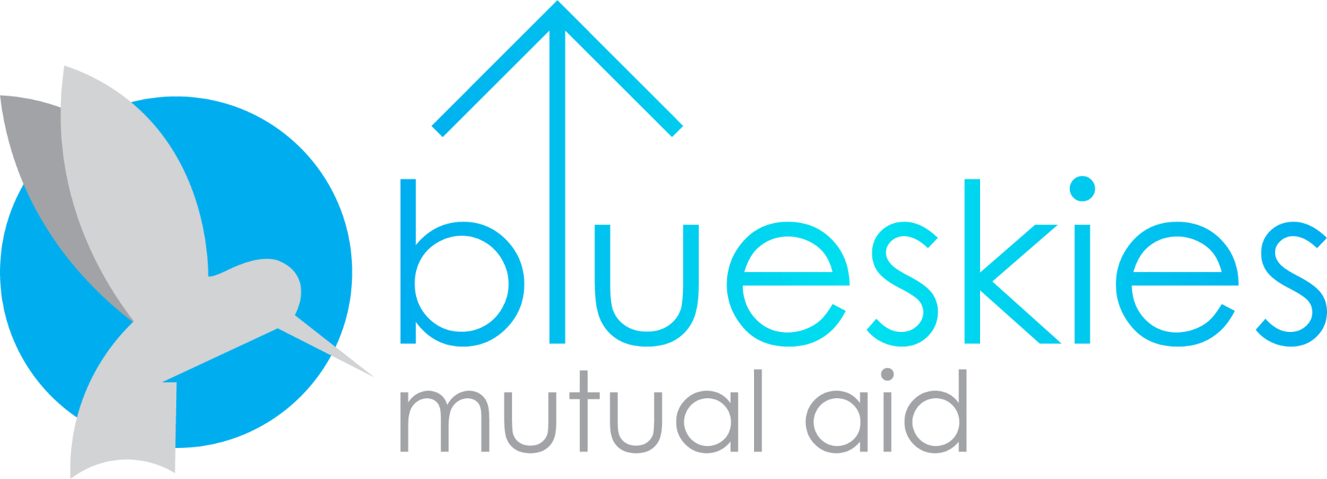 Blue Skies Mutual Aid
